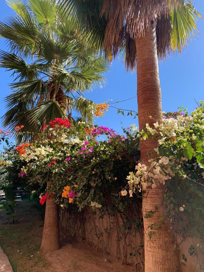 Les Terrasses Du Lac Marrakech 랄라 타카르코스트 외부 사진